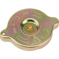 Valtra (AGCO) Cooling reservoir tank cup V33057300