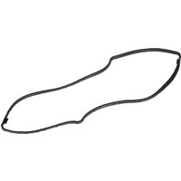 Case IH (CNH) Gasket 2996234