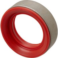 CNH Oil seal 47129340