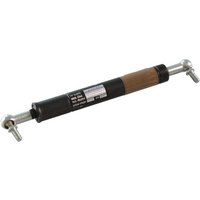 AGS Gas strut 947532150169AGS