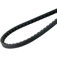 AS-Motor V-belt E11451ASM