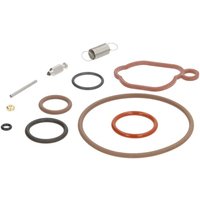 Briggs & Stratton Carburettor overhaul kit 84013087
