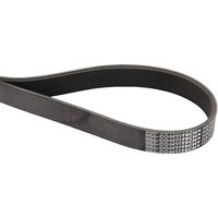 Hatz V-Belt Poly 50203101
