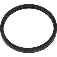 CNH Thermostat gasket 504030960