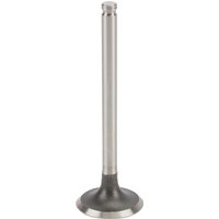 Kawasaki Intake valve 120047002