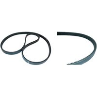 Case IH (CNH) Belt 87397416