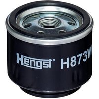 Hengst Spin-on fuel filter with gaskets/seals H873WKD950