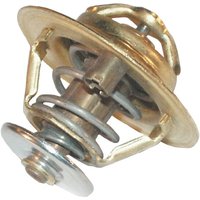 Thermostat New Holland 4823226N