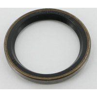 Case IH (CNH) Orbitrol oil seal Case - IH 3216084R1
