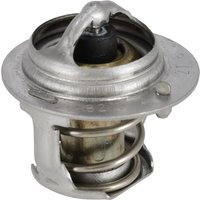 Kubota Thermostat assembly 1G36273012