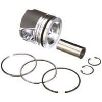 FPT Industrial Piston assembly standard 8094322FPT