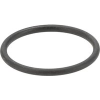 Weidemann Nozzle seal 1000295223