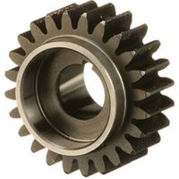 FPT Industrial Fuel injection pump gear 504387506FPT