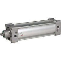Battioni Pagani Pneumatic cylinder 6" SA33