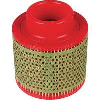 MANN-FILTER Air filter element C1131