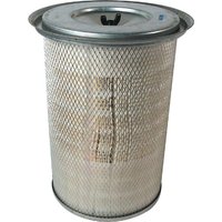 Donaldson Air filter outer P771520