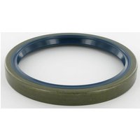 Oil seal Case - IH 3220032R91N