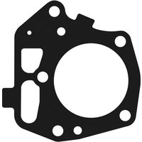 Kawasaki Cylinder head gasket 110047027