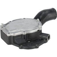 Manitou Water pump MA52717346