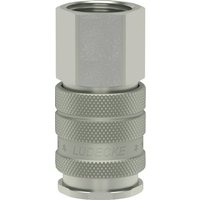 Lüdecke Q-Rel coup with 3/8" BSP F/Thd ESIG38I