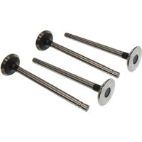 Vapormatic Exhaust valve (x4) VPA1572