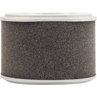 MANN-FILTER Air filter C10015