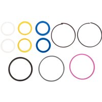 Carraro Seal kit CI049226