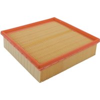 MANN-FILTER Air filter element C22117