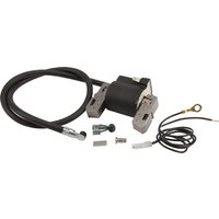 Briggs & Stratton Ignition coil, 398811
