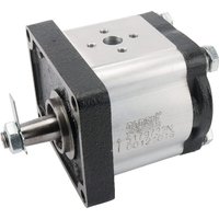 gopart Hydraulic pump 8.2 ccm 5179732N