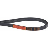Mitsuboshi V-Belt LB56 FGP420836