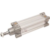 Camozzi Cylinder, 50-100, series 63 63MP2C050A0100R