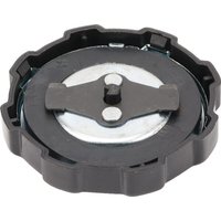 Briggs & Stratton Petrol cap 794641