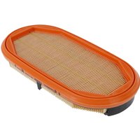 Donaldson Air filter, safety P959052