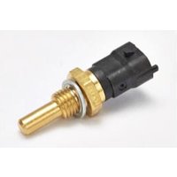 FPT Industrial Temperature sensor 500382599FPT