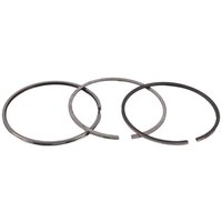 FPT Industrial Piston ring set STD 1902687FPT