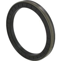 Spicer Dana Seal ring 000051867