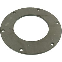 Battioni Pagani Flange 8" 6 holes 8310000Z