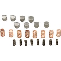 Walterscheid Agraset radial pin kit (soft springs) AG107