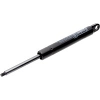 Raico Gas strut 3303021M91N