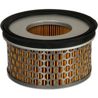 Agria Air filter insert AGW419011