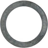 Fendt (AGCO) Fuel cap gasket X810110050010