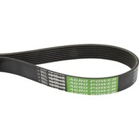 Optibelt Ribbed belt 01183367AB