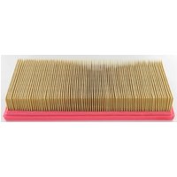 Lombardini Air filter 2175165