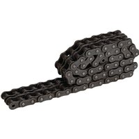 JF Roller chain 8113630239
