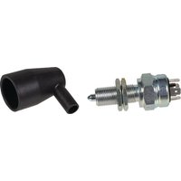 Cobo Safety Switches 17170000