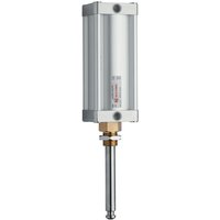 MZ Pneumatic cylinder 8" ARZO0570200000