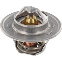 Massey Ferguson (AGCO) Thermostat V836015156
