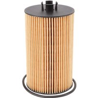 Fendt (AGCO) Oil filter F836200510080