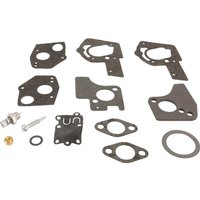Briggs & Stratton Carburettor repair kit 495606